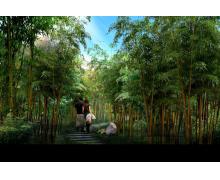 竹林公園景觀設計